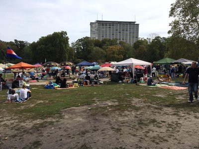 Foto zeigt Thaiwiese im Preußenpark