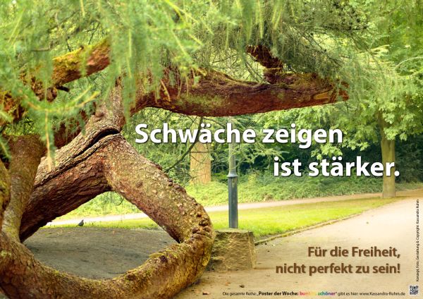 Bild eines Baumes: Schwäche zeigen ist stärker