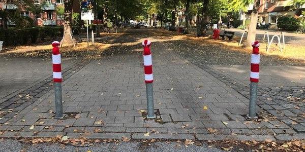 Poller mit farbiger Mütze in der Vogelweide, Barmbek-Süd