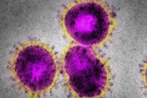 Grafik zeigt Corona-Virus auf der Webseite der WHO