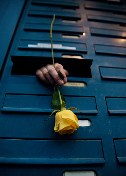 Eine Hand ragt aus dem Schlitz eines Briefkastens heraus und hält eine gelbe Rose