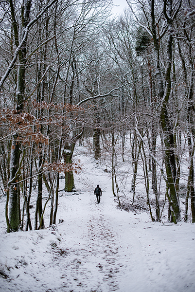 Ein Mensch im verschneiten Wald
