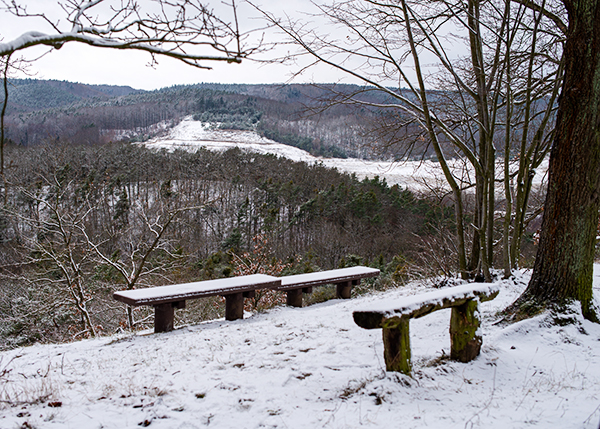 Drei verschneite Bänke mit Blick auf Wald