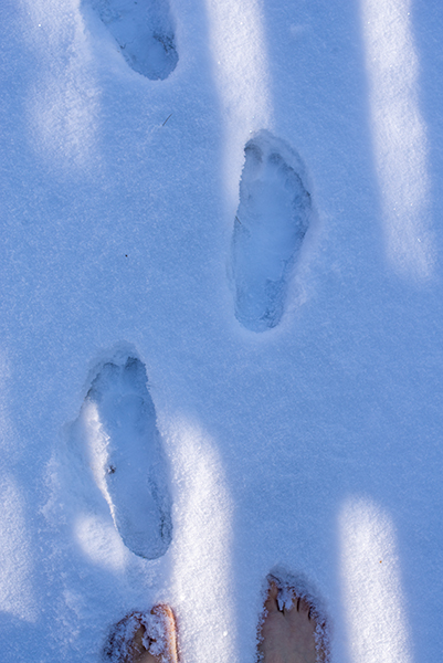 Barfuß im Schnee