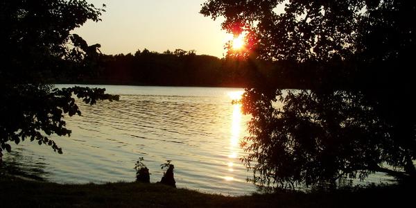 Blick auf den Grienericksee bei untergehender Sonne