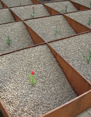 Einsame Blume in verschiedenen Kästen - Bild von der BUGA in Koblenz