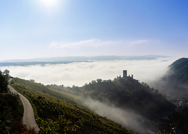 Niederburg im Nebel