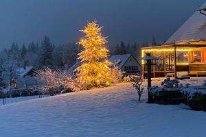 Beleuchteter Tannenbaum im Schnee