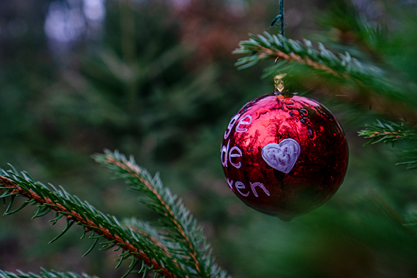 Weihnachtskugel mit Herz auf einem Tannenbaum