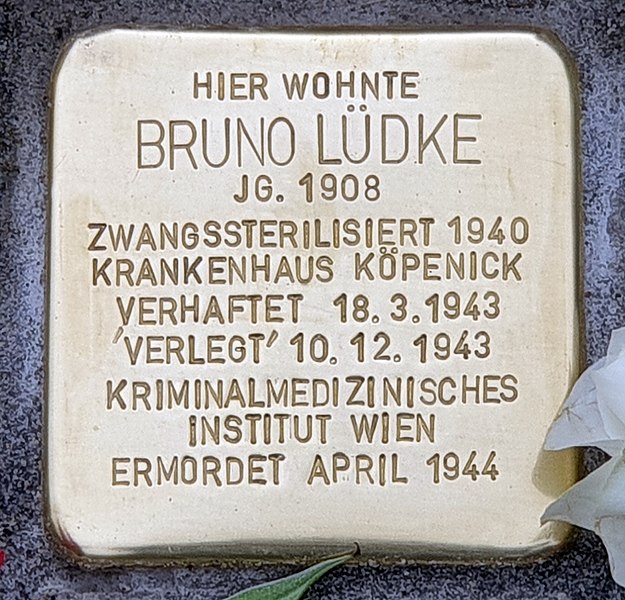 Foto zeigt Stolperstein für Bruno Lüdke