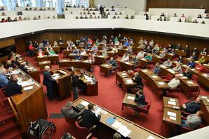 Bild von rüherem Behindertenparlament in Bremen