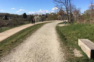 Foto zeigt einen Weg am Kienberg