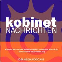Logo: IGEL kobinet Monatsrückblick