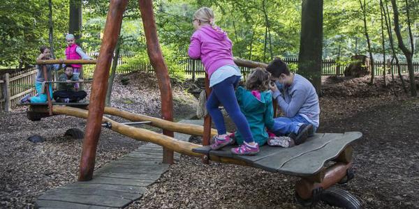 Bei der Syker Waldwoche des Martinsclubs Bremen