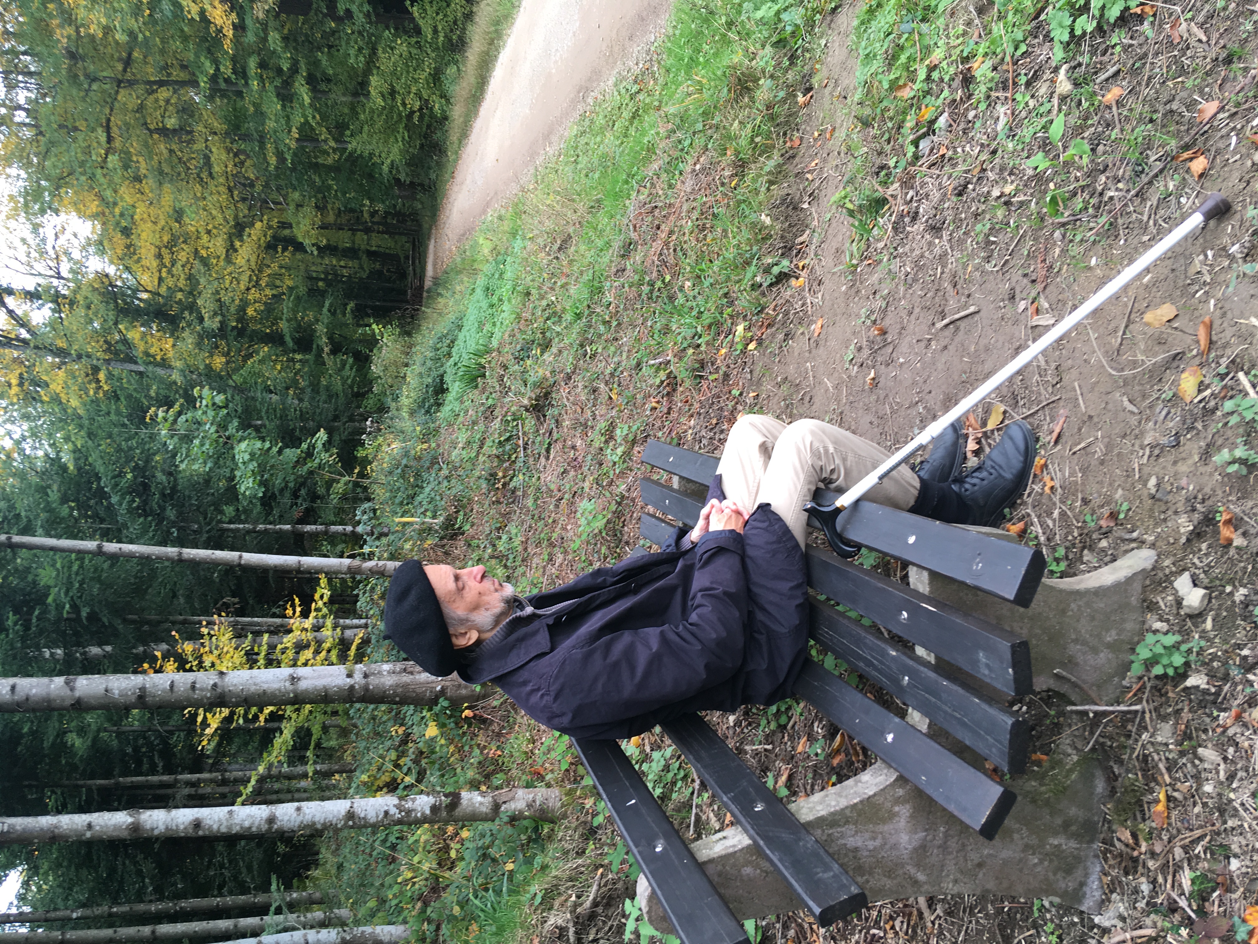sitzt auf einer Bank am Wald