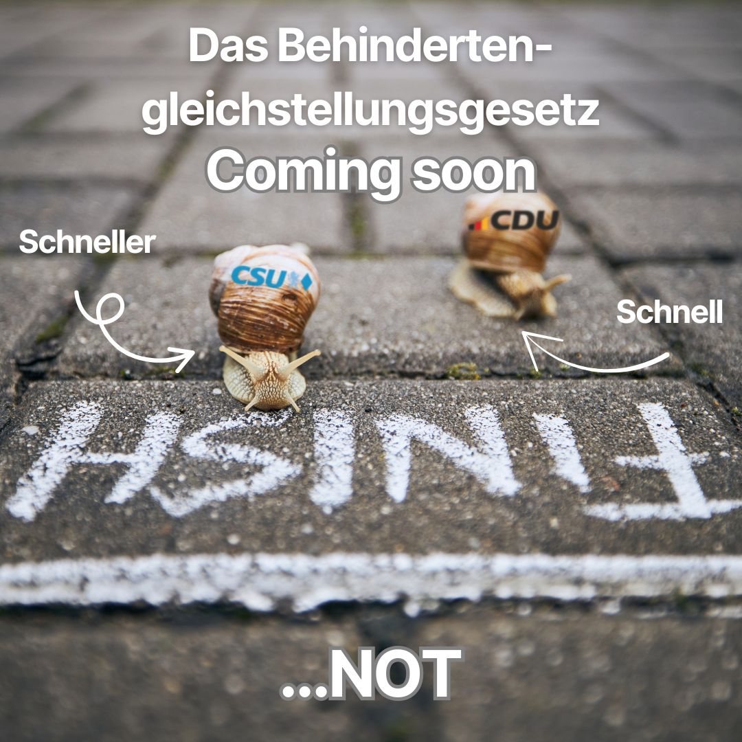 Sharepic zum Schneckenrennen ums Behindertengleichstellungsgesetz