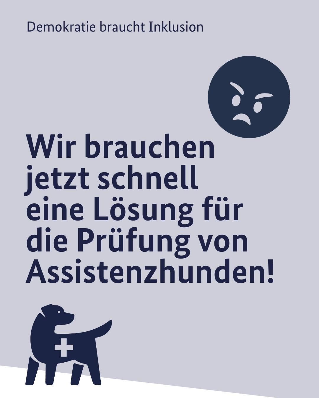 Sharepic für Lösung der Prüfung von Assistenzhunden
