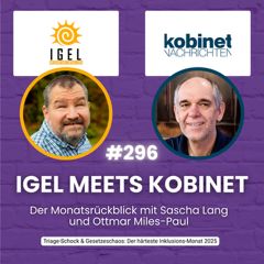 Cover des IGEL-Monatsrückblick zur Behindertenpolitik im November 2025