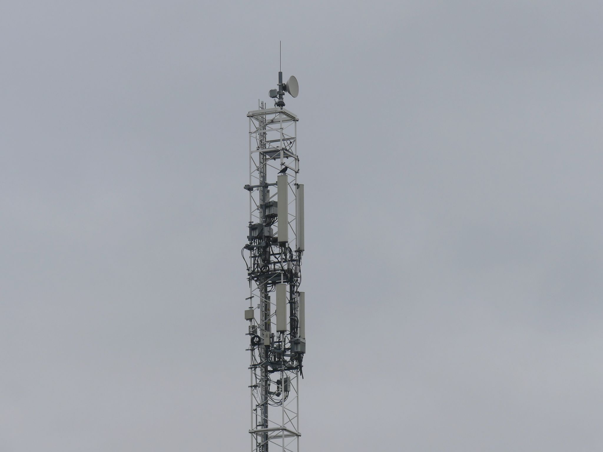 Hoch aufragender Gittermast mit mehreren Antennen