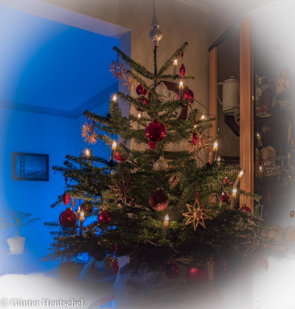 Ein Weihnachtsbaum von Günter Hentschel