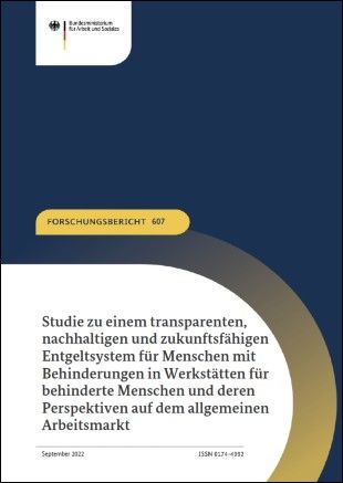 Deckblatt 2. Zwischenbericht Werkstattentgelt