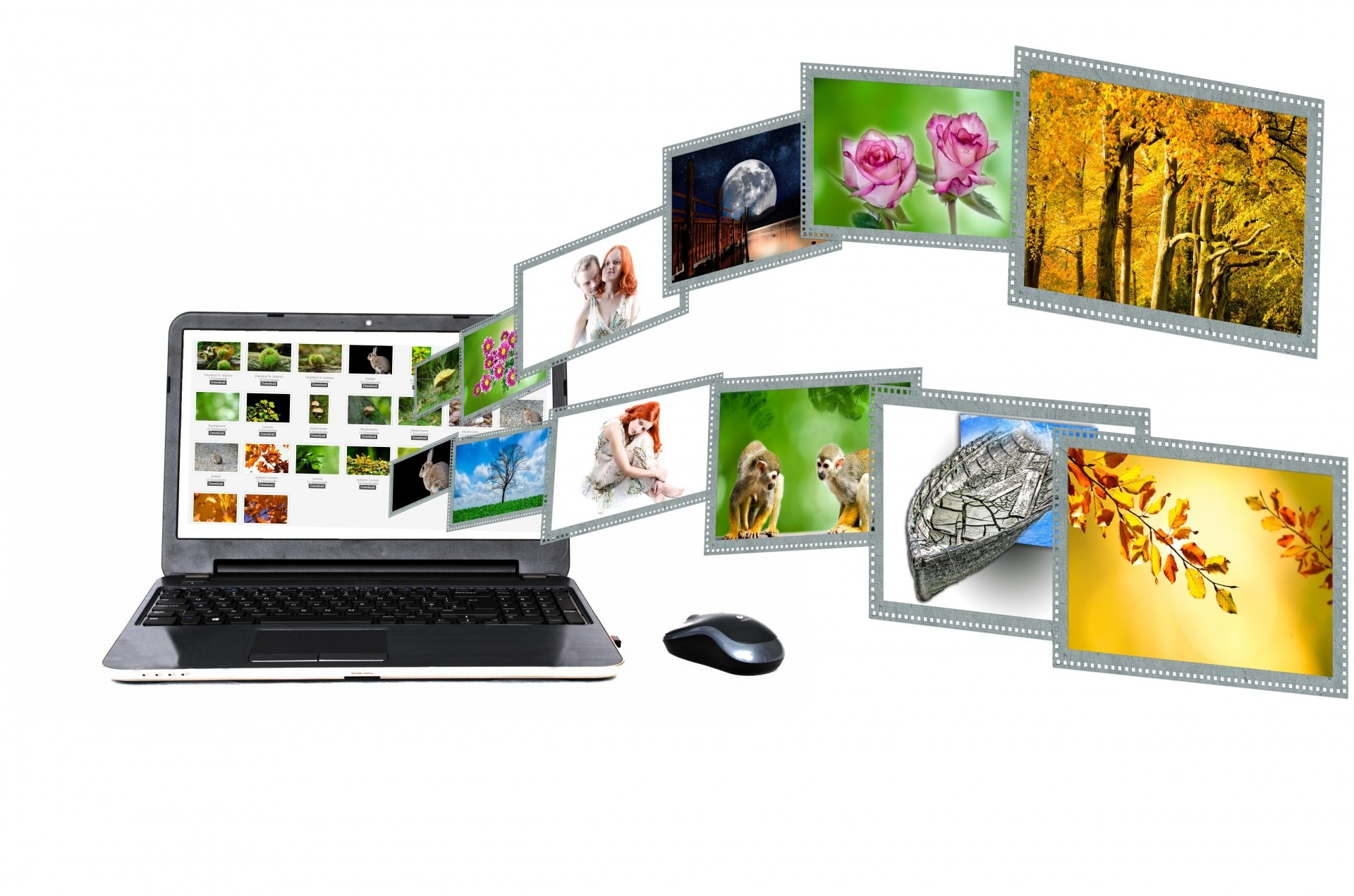 Laptop aus dem sich digitale Bilder und Blätter herausbewegen
