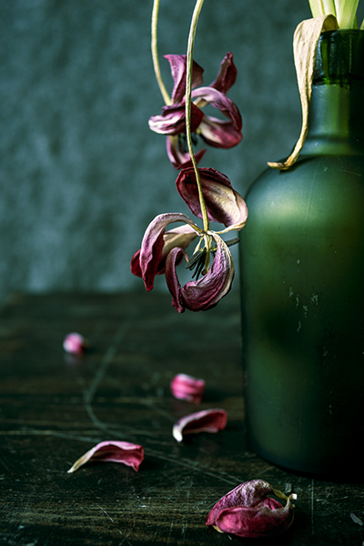 Verwelkte Tulpen
