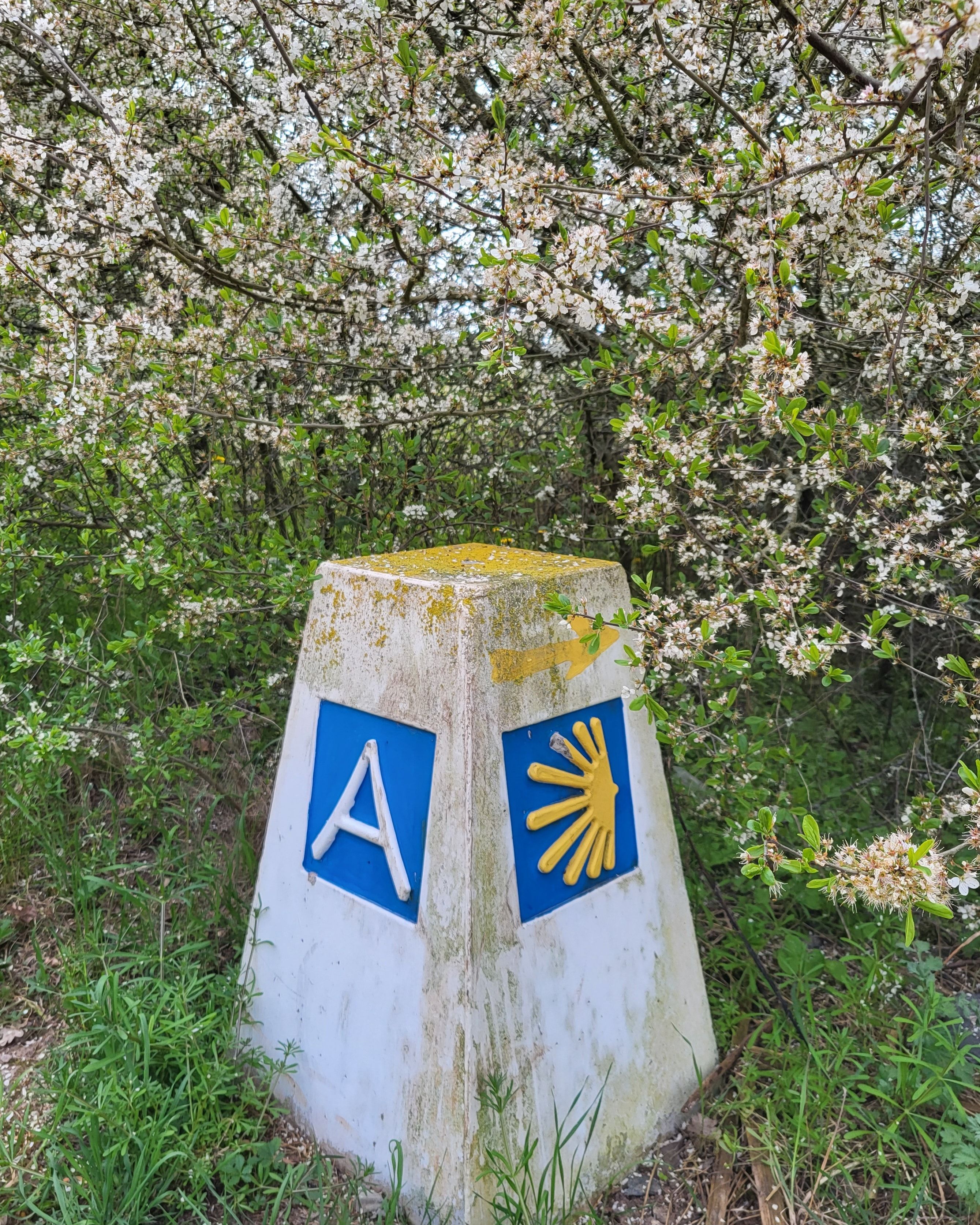 Hinweis auf Jakobsweg
