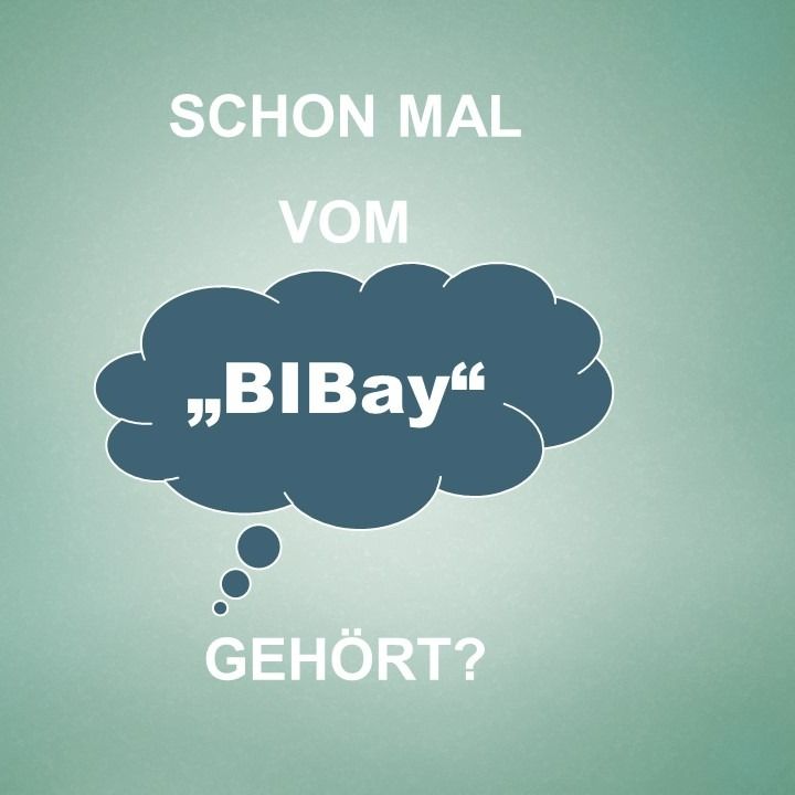 Logo BIBay