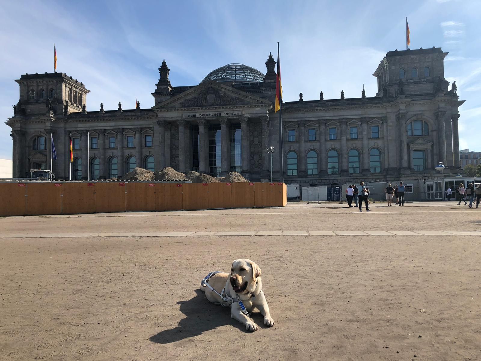 Oris auf dem Rasen vor dem Reichstag