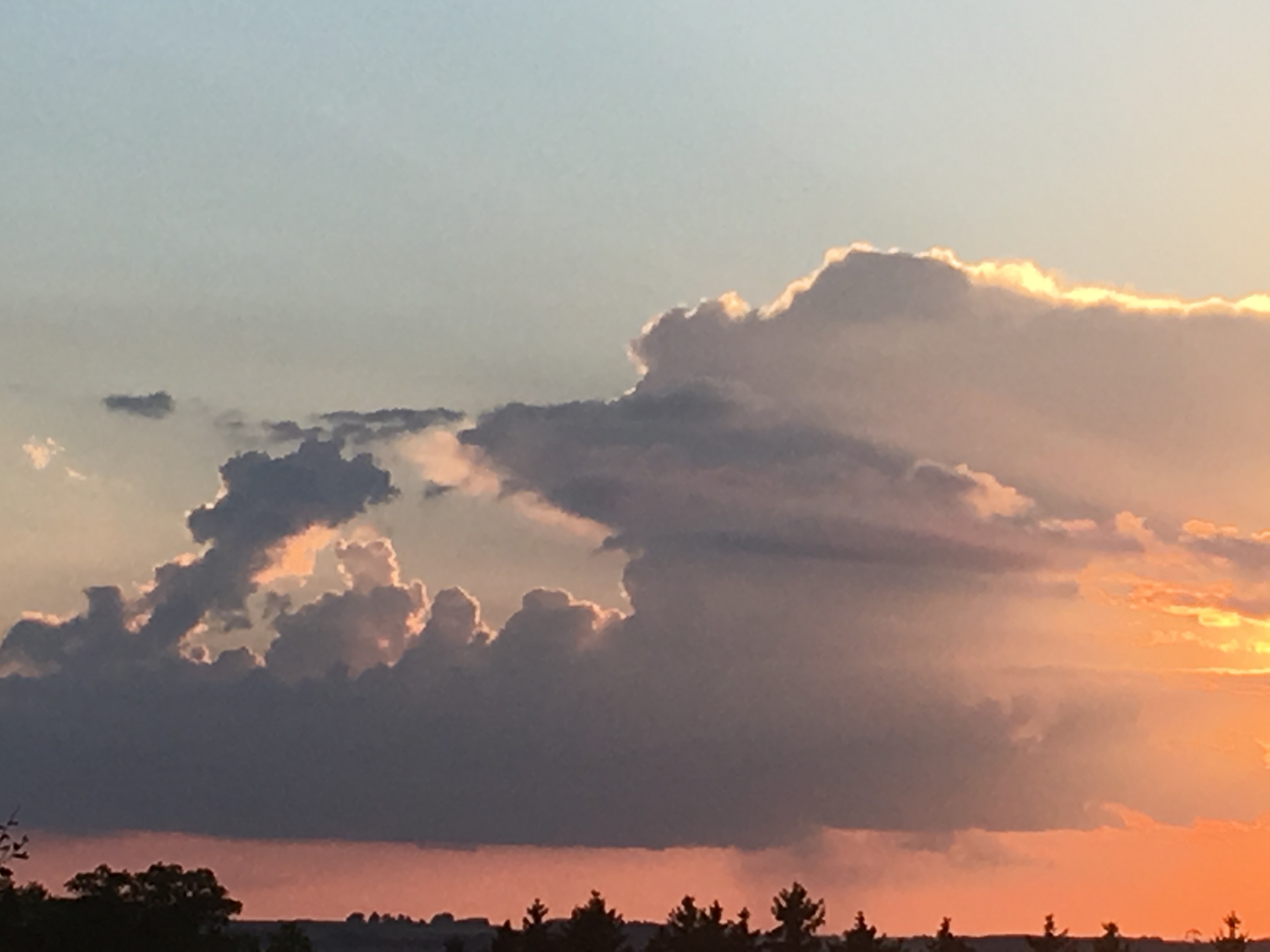 leichte Wolken über dem noch dunklen Horizont mit Bäumen beim Sonnenaufgang
