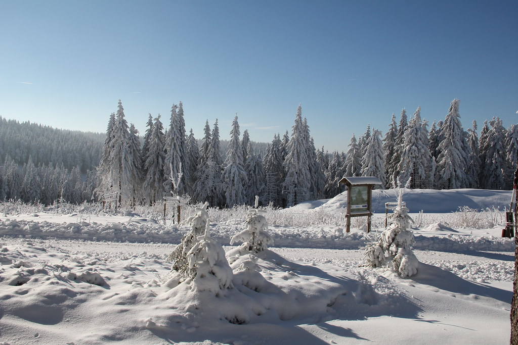 Schneemann Flocke in der Ferienregion Oberhof von oberhoftourismus