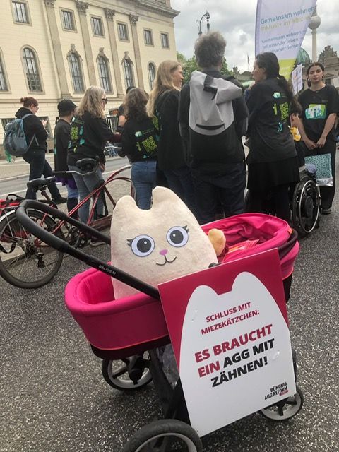 AGG-Katze im Kinderwagen auf Tour