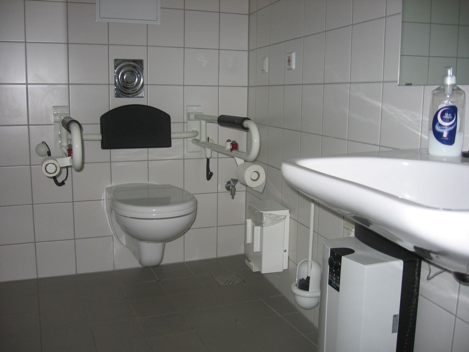 Toilette mit Handstützen links und rechts des Beckens