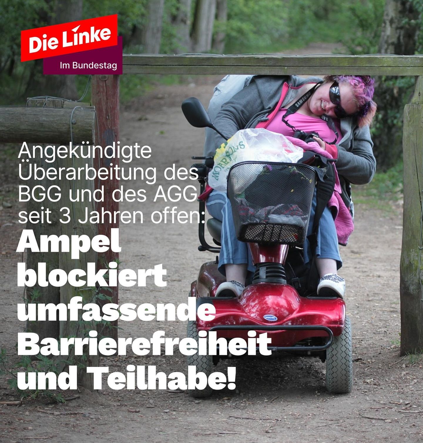 Sharepic der LINKEN zur AGG und BGG Reform