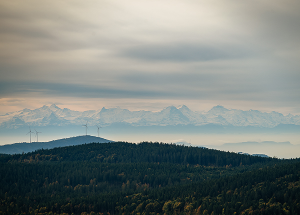 Blick vom Schwarzwald auf die Alpen