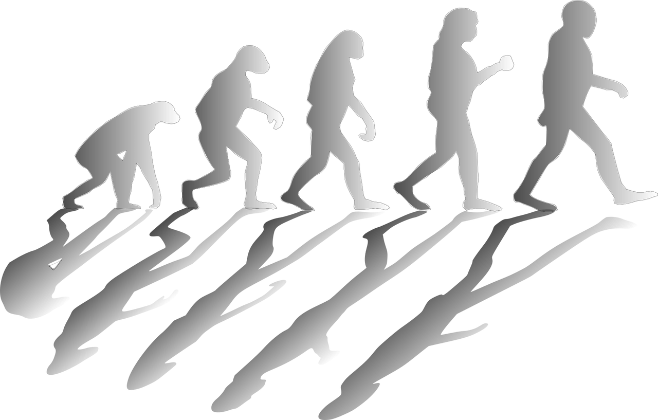 Grafik Evolution mehrere Menschen von linksnach rechts größer werdend, mit verzerrten Schatten