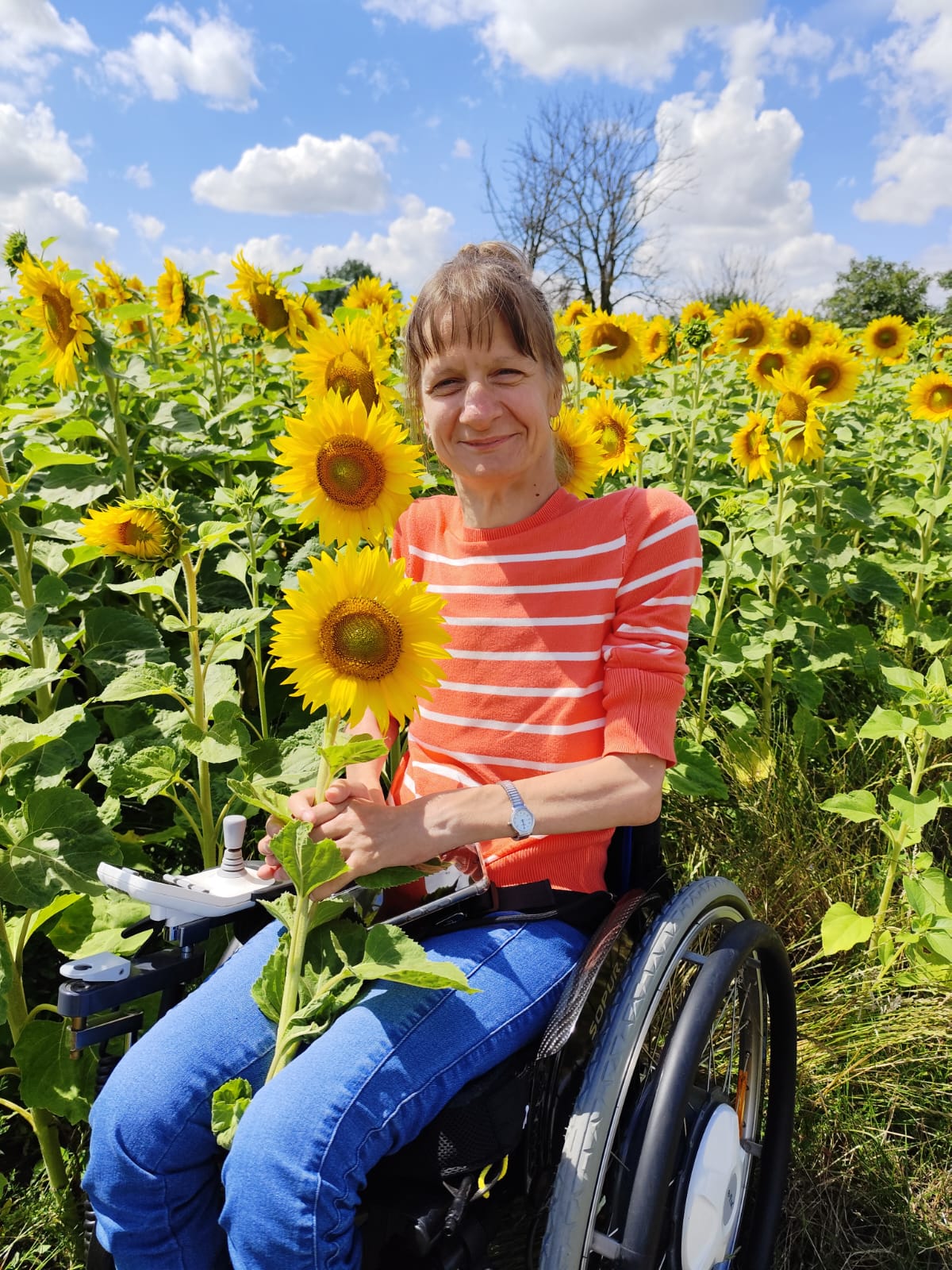 Junge Frau mit Rollstuhl am Rand eines Sonnenblumenfeldes