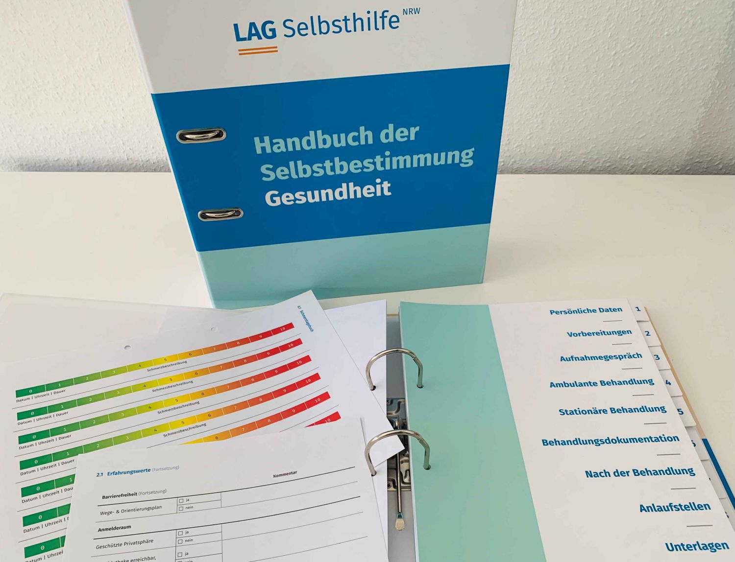 Bild eines Heftordners mit weißem Deckel und einem blauen Feld, in welchem der Titel des Handbuches steht