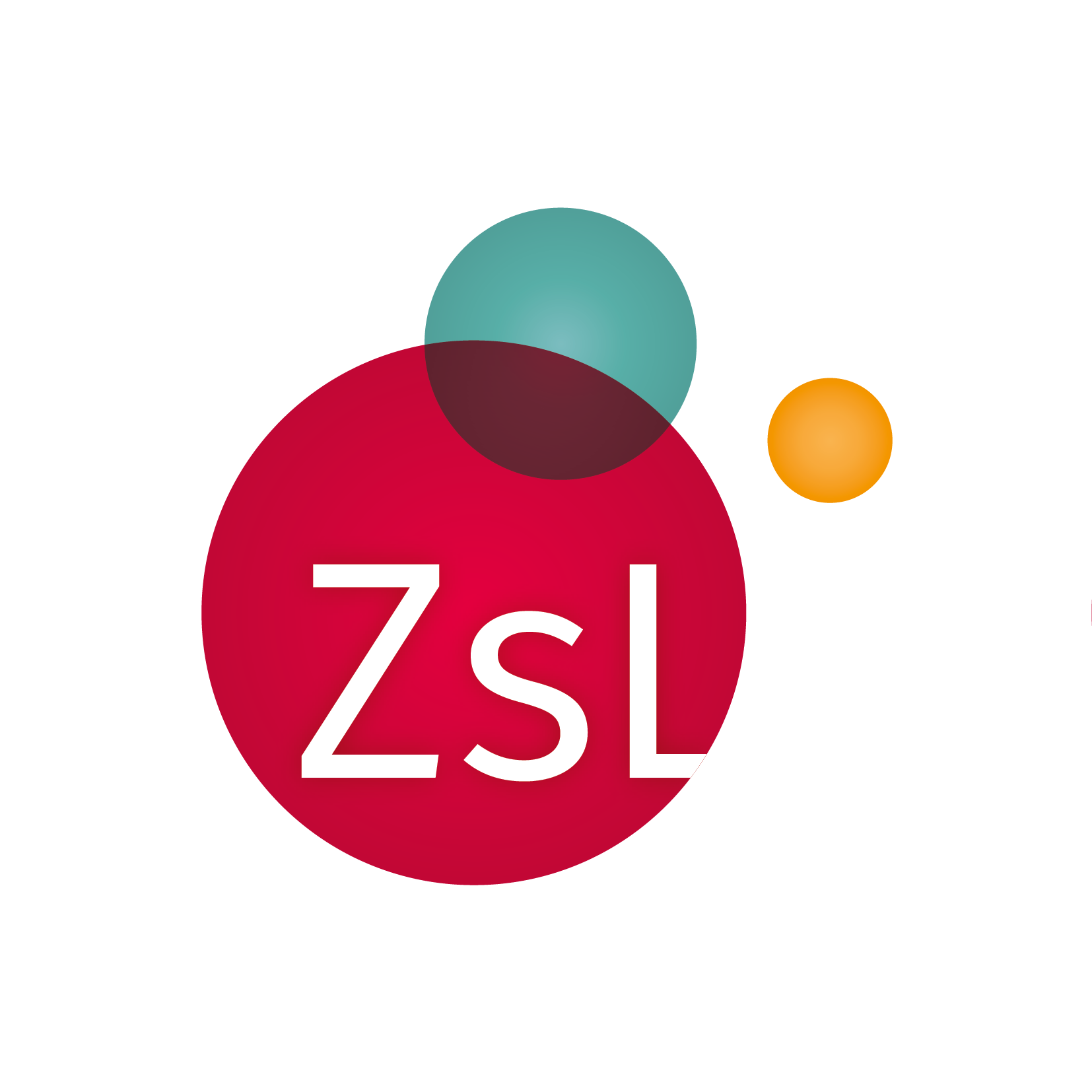 Logo des ZsL Mainz